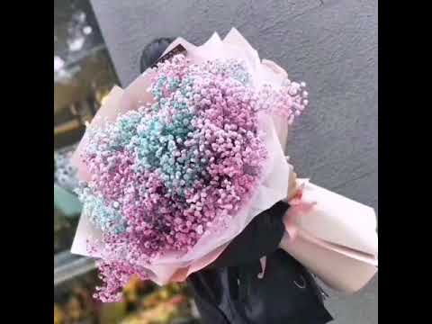 download lagu mp3 mp4 Send Flowers To China Online, download lagu Send Flowers To China Online gratis, unduh video klip Send Flowers To China Online