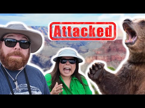 Almost ATTACKED on our Vacation!