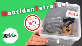 MTT: Mantidenstarterkit von M&M Wüst im Test