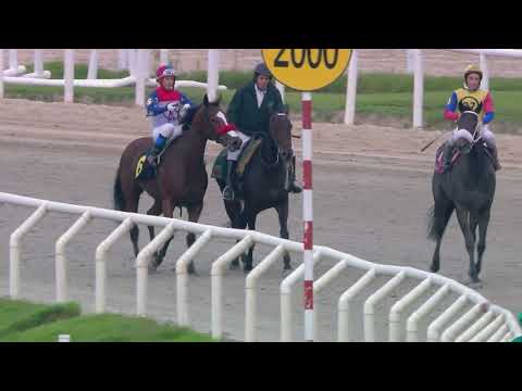 230423 c08 FROSTY (BRZ)