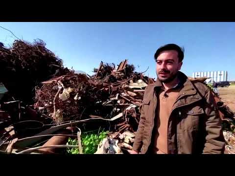 加沙的汽車墳場變成了利潤。 (Gaza's car graveyards turn into profits)