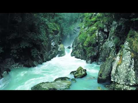 9 Hours of Relaxing Harp Music - Beautiful Nature Scenes for Sleep, Stress Relief, Work, Study #spa