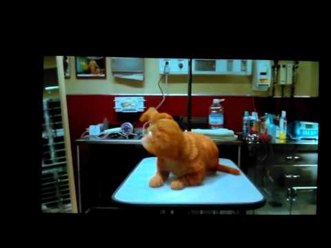 download lagu mp3 mp4 Garfield Elvis, download lagu Garfield Elvis gratis, unduh video klip Download Garfield Elvis Mp3 dan Mp4 Free All Gratis