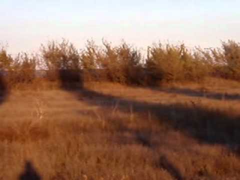 PERSONAL 7368 INTRE STATIILE BALDOVINESTI SI BRAILA