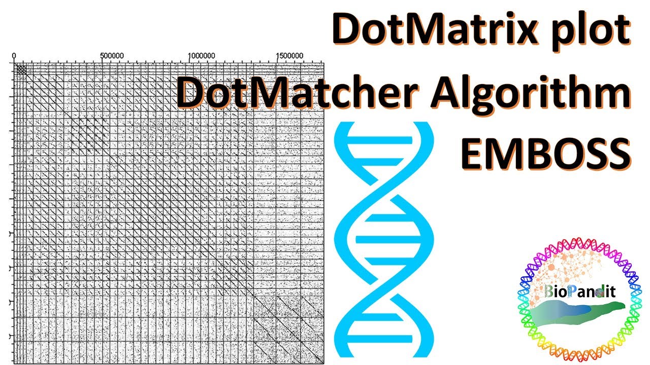 How to generate a DotMatrix using DotMatcher algorithm