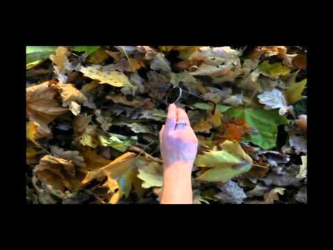 J'habite a Timisoara hd