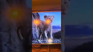 The Lion King Remake Blew Alyssa Marie Away!