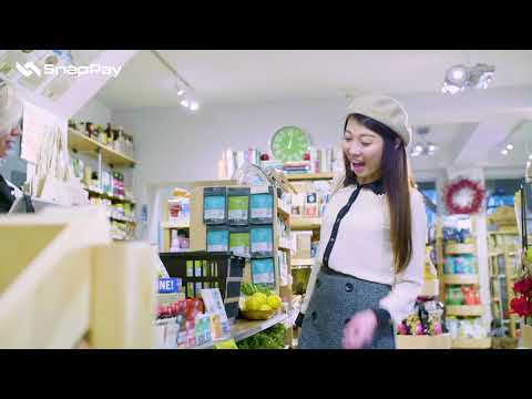 SnapPay - Introductory Video