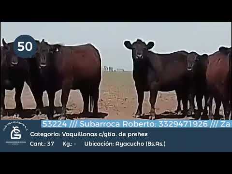 Lote VQ CGP - Ayacucho Bs As