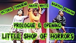Prologue/Opening - Little Shop of Horrors - November 2015