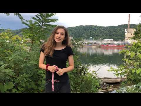 Route 1, Site 10: Blue Racer Midstream Fractionation Processing Plant & Westlake Chemical