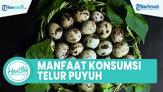 4 Manfaat Konsumsi Telur Puyuh untuk Kesehatan Tubuh, Satu di Antaranya Mencegah Penyakit Kronis