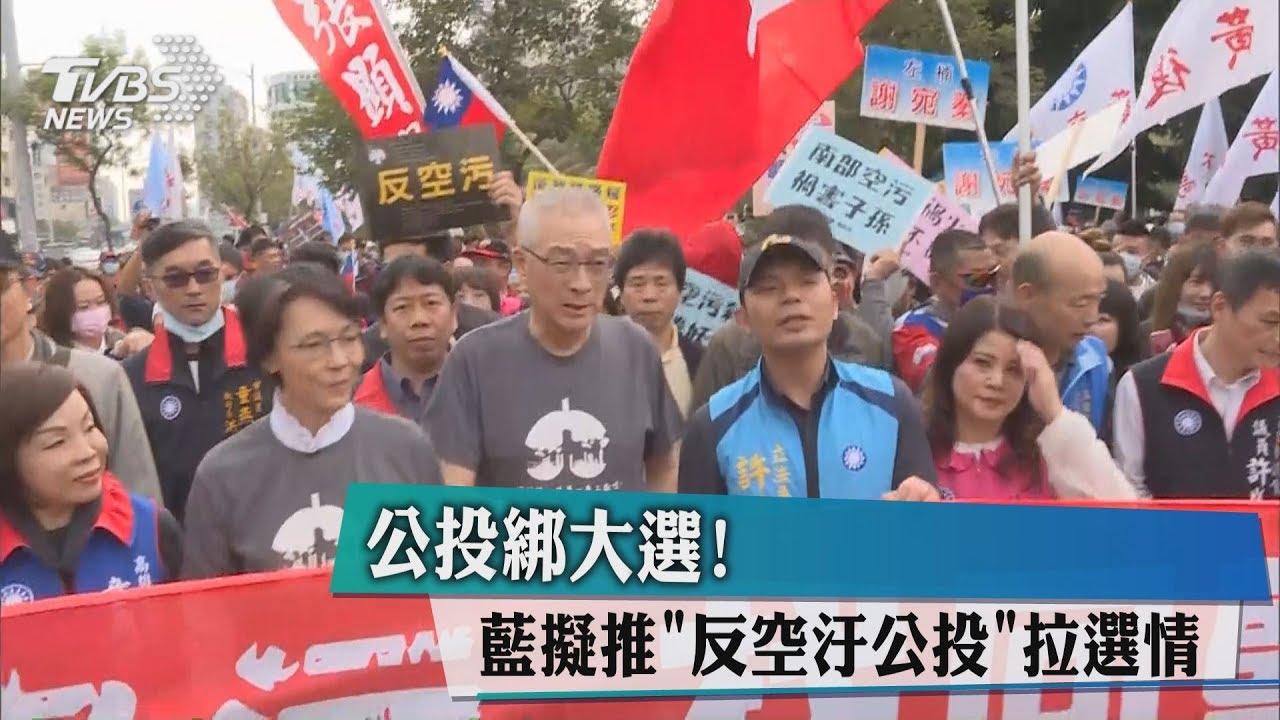 公投綁大選! 藍營擬推「這公投」拉抬選情