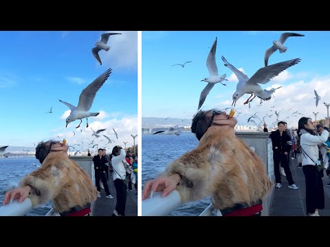 #36 Die besten Videos 2025 || ✪ Stern DuTube