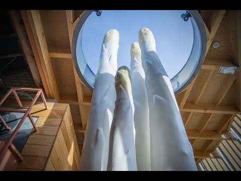 Die Geschichte des Kalforter Spargels | Aspergepunt | Puurs-Sint-Amands