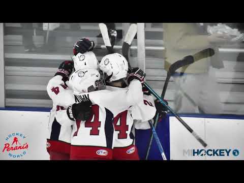 2020 MAHA Squirt A State Championship - Compuware vs. Fox Motors