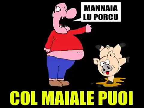 Al maiale puoi