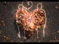 Prefab Sprout - Falling in love