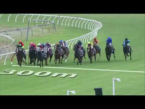 2020 Magic Million 2yo | Away Game