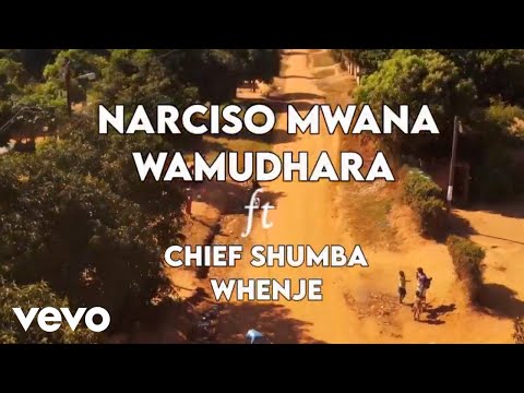 Chief Shumba Hwenje - Ndiri Muhondo (Official Video) ft. Narciso Mwana WaMudhara