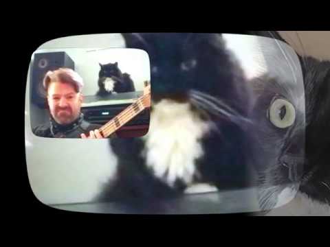 Dragondeer - "Stay High" | Quarantine Music Video