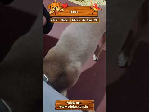 Vídeo de  Tobias