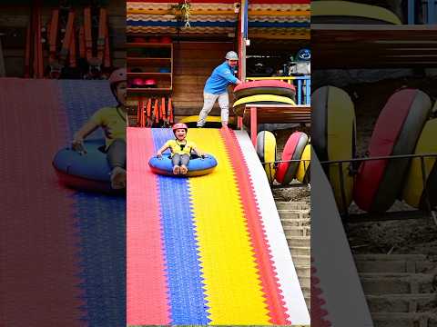 🇨🇴DESLIZADORA TRICOLOR Mirador Manos de Cocora, Valle del Cocora, Salento,Quindio #salento
