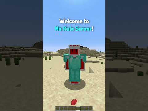 Arten von Serverbesitzern in Minecraft