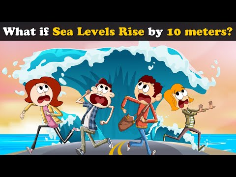如果海平面上升 10 米會怎樣？+ 更多視頻 | #aumsum #kids #science #education #whatif (What if Sea Levels rise by 10 meters? + more videos | #aumsum #kids #science #education #whatif)