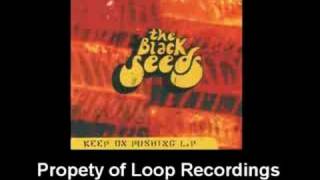 Coming Back Home - The Back Seeds