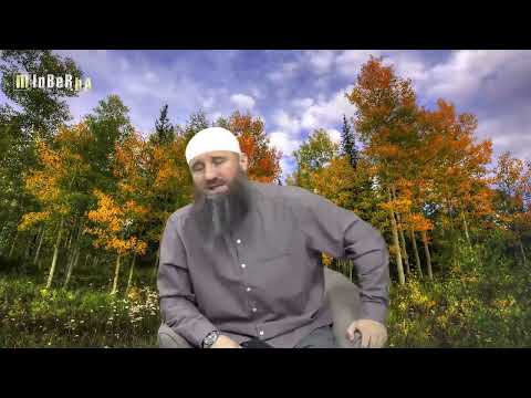 Korištenje misvaka- Elvedin Pezić