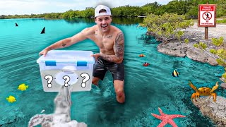 FISH TRAP Catches REEF FISH in ABANDONED SALTWATER POND!!