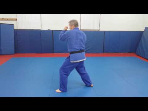 Moncton Jujitsu techniques. Blue Belt  Top fist hammer strike