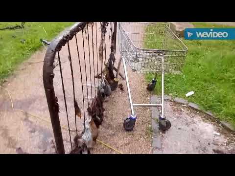 magnet fishing tragedy