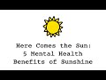 Here Comes The Sun Mental Health Benefits Of Sunshine