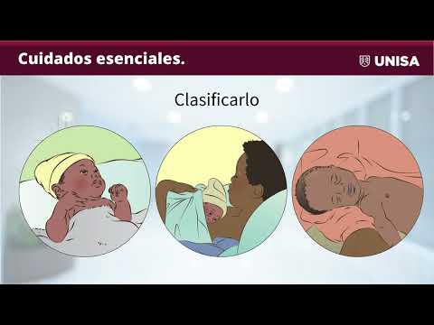 Obstetrics video 6