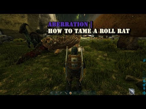 Ark Aberration : How to tame a Roll Rat