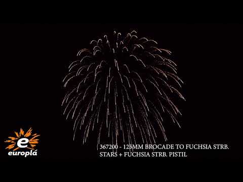367200   125MM BROCADE TO FUCHSIA STRB  STARS + FUCHSIA STRB  PISTIL