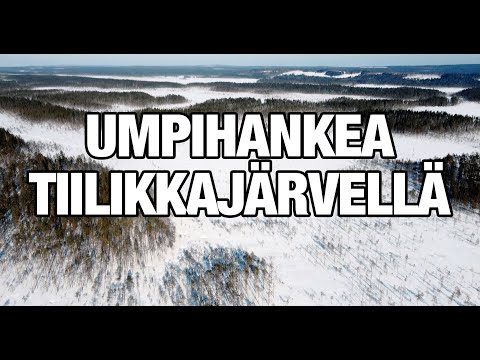 Tiilikkajärven kansallispuistossa Rautavaaralla päiväretkellä hiihtelyä [retkeilyä]