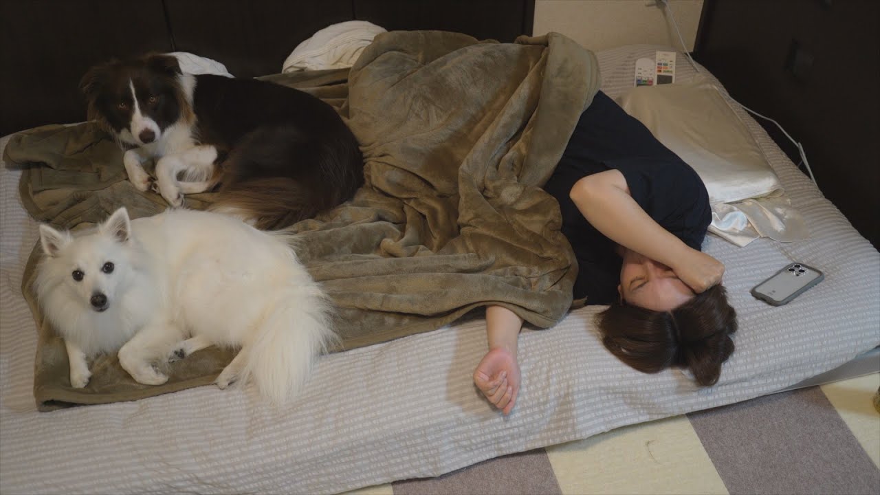 【ご報告あり】つわりとの奮闘日記がこちらです