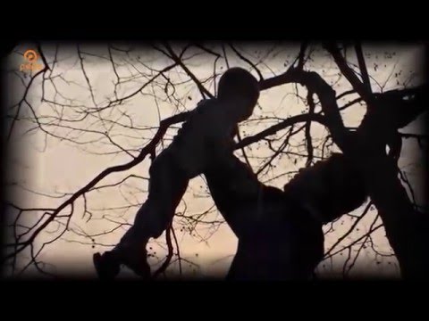 Đạo làm con - Ngọc Sơn