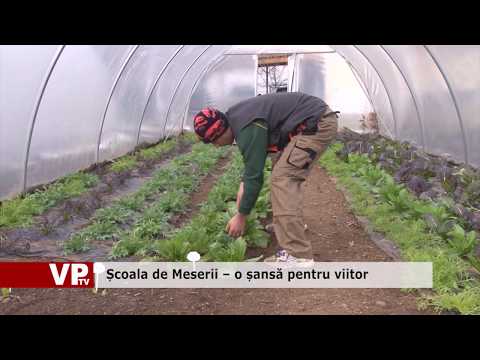 Școala de Meserii – o șansă pentru viitor