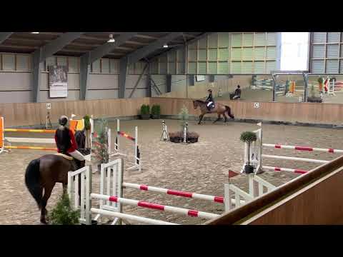 EQS Cassiopeia mare by Cellestial