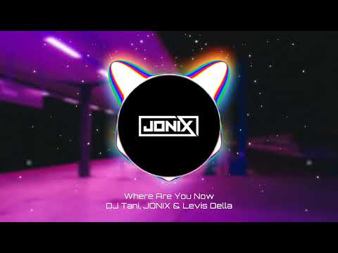DJ Tani, JONIX, Levis Della - Where Are You Now [Official Visualizer]