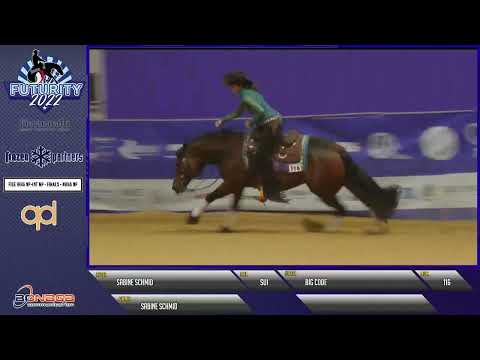 Futurity 2022 - SABINE SCHMID & BIG CODE score 218,5