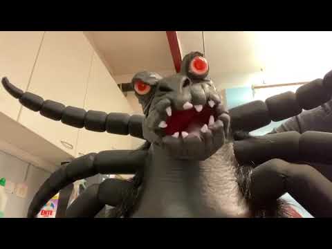 Breaking News: ****DIE ZECKE ÄUSSERT SICH ZUM CORONAVIRUS****