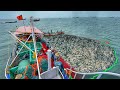 Amazing Billion S Of Sardine Fish Caught In Purse Seine Fishing Method EP 01