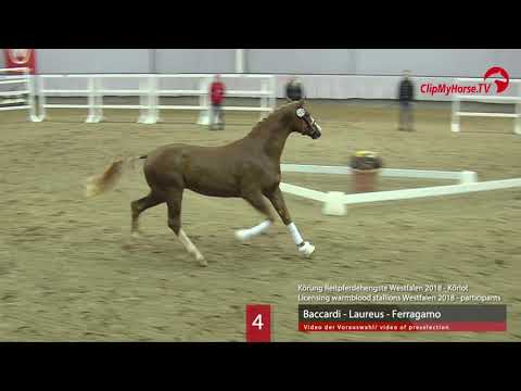 04 Hengst v. Baccardi - Laureus - Ferragamo