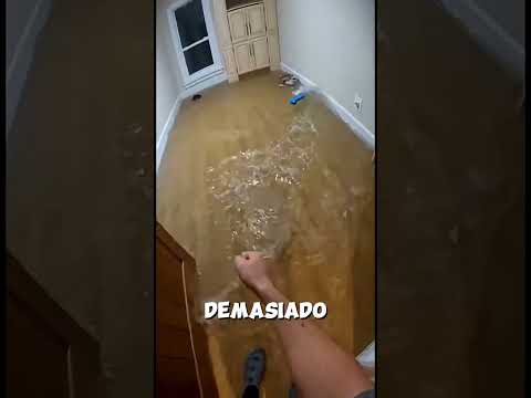 La ventisca congeló la caseta de nuestro perro… Entonces nos dimos cuenta de que el cachorro había