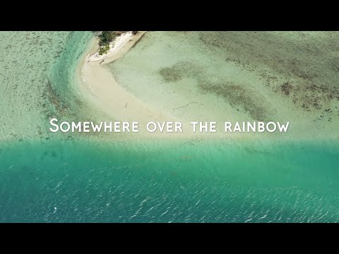 Somewhere Over The Rainbow (Cover by Ken Carlter) #worldoceansday